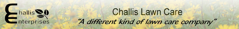 Call Challis Lawn Care for quality service