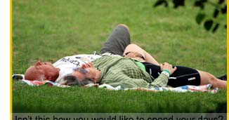 Spend your days relaxing while we treat your lawn